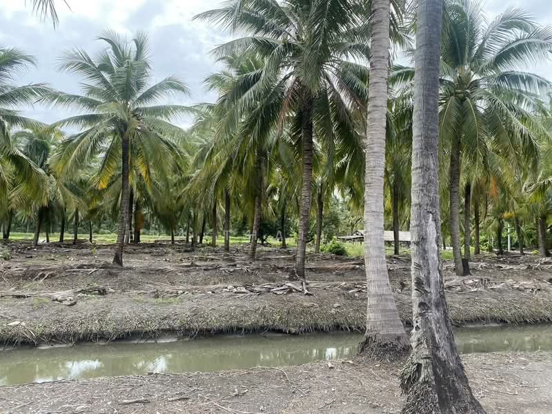 ขาย ที่ดิน 5 ไร่ เหมาะสำหรับทำการเกษตรและปลูกบ้าน คลองใหม่สามพรานนครปฐมที่สวยมาก, Nakhon Pathom, Khlong Mai, Sam Phran, Nakhon Pathom, , 8,000 sqm, Land For Sale, by ERA Thailand, 500434077 - DDproperty.com