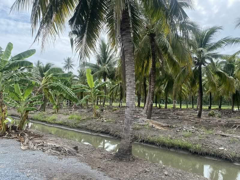 ขาย ที่ดิน 5 ไร่ เหมาะสำหรับทำการเกษตรและปลูกบ้าน คลองใหม่สามพรานนครปฐมที่สวยมาก, นครปฐม, คลองใหม่, สามพราน, นครปฐม, 8,000 ตร.ม., ที่ดิน ขาย, โดย ERA Thailand, 500434077 - DDproperty.com