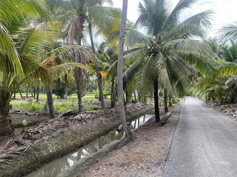 ขาย ที่ดิน 5 ไร่ เหมาะสำหรับทำการเกษตรและปลูกบ้าน คลองใหม่สามพรานนครปฐมที่สวยมาก, Nakhon Pathom, Khlong Mai, Sam Phran, Nakhon Pathom, , 8,000 sqm, Land For Sale, by ERA Thailand, 500434077 - DDproperty.com