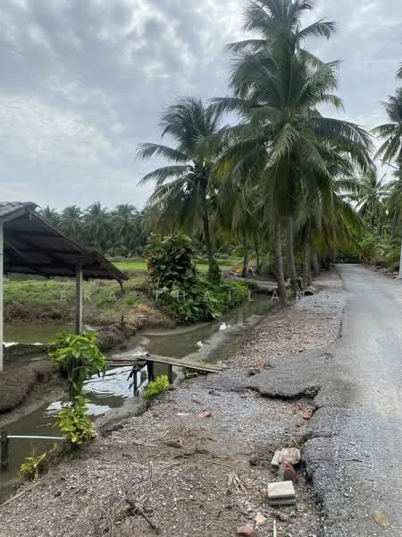 ขาย ที่ดิน 5 ไร่ เหมาะสำหรับทำการเกษตรและปลูกบ้าน คลองใหม่สามพรานนครปฐมที่สวยมาก, Nakhon Pathom, Khlong Mai, Sam Phran, Nakhon Pathom, , 8,000 sqm, Land For Sale, by ERA Thailand, 500434077 - DDproperty.com