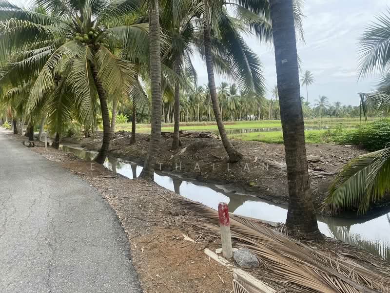 ขาย ที่ดิน 5 ไร่ เหมาะสำหรับทำการเกษตรและปลูกบ้าน คลองใหม่สามพรานนครปฐมที่สวยมาก, Nakhon Pathom, Khlong Mai, Sam Phran, Nakhon Pathom, , 8,000 sqm, Land For Sale, by ERA Thailand, 500434077 - DDproperty.com
