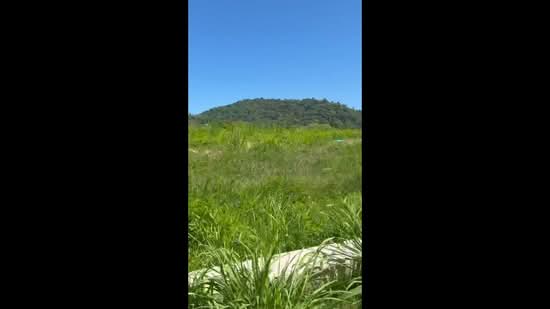 Vacant land for sale in Rawai, Phuket, 33 rai, Phuket, Rawai, Muang Phuket, Phuket, , 52,828 sqm, Land For Sale, by Pawarisa Shanivet, 500434140 - DDproperty.com