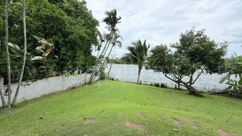 Supalai Grand Lake : ศุภาลัย แกรนด์ เลค, กรุงเทพ, ถนนคุ้มเกล้า, แสนแสบ, มีนบุรี, กรุงเทพ, 200 ตร.ม., บ้านเดี่ยว ขาย, โดย คุณ มณีรัตน์ ( เจี๊ยบ ), 500434336 - DDproperty.com