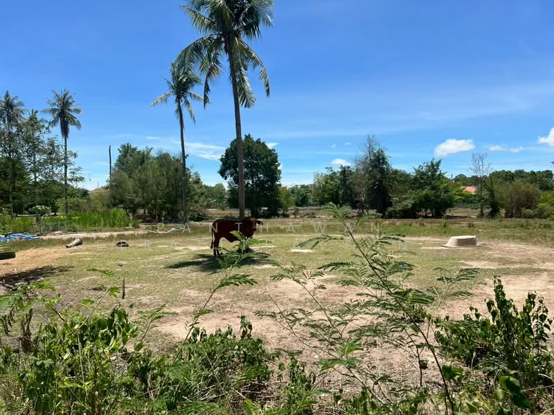ที่ดินเปล่า แปลงใหญ่ 27 ไร่ ใกล้วัดเทพบุตร ตำบลห้วยใหญ่ บางละมุง, Chon Buri (Pattaya), Huai Yai, Bang Lamung (Pattaya), Chon Buri (Pattaya), , 44,000 sqm, Land For Rent, by Panthawan Keeratithavornanan, 500434375 - DDproperty.com