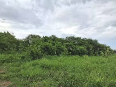 ขาย - ที่ดินโสธร ฉะเชิงเทรา, ฉะเชิงเทรา