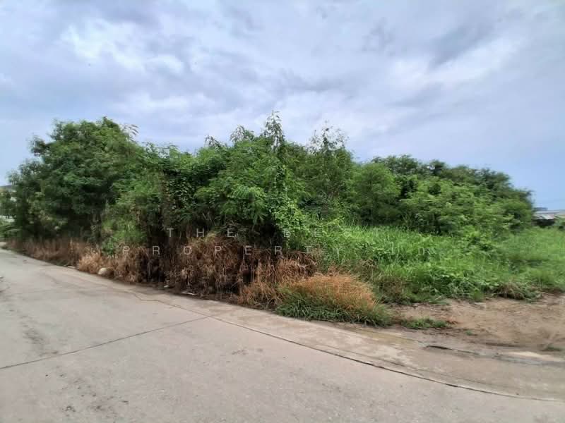 ที่ดินโสธร ฉะเชิงเทรา, Chachoengsao, Sothon, Muang Chachoengsao, Chachoengsao, , 344 sqm, Land For Sale, by The Best Property ไก่, 500434447 - DDproperty.com