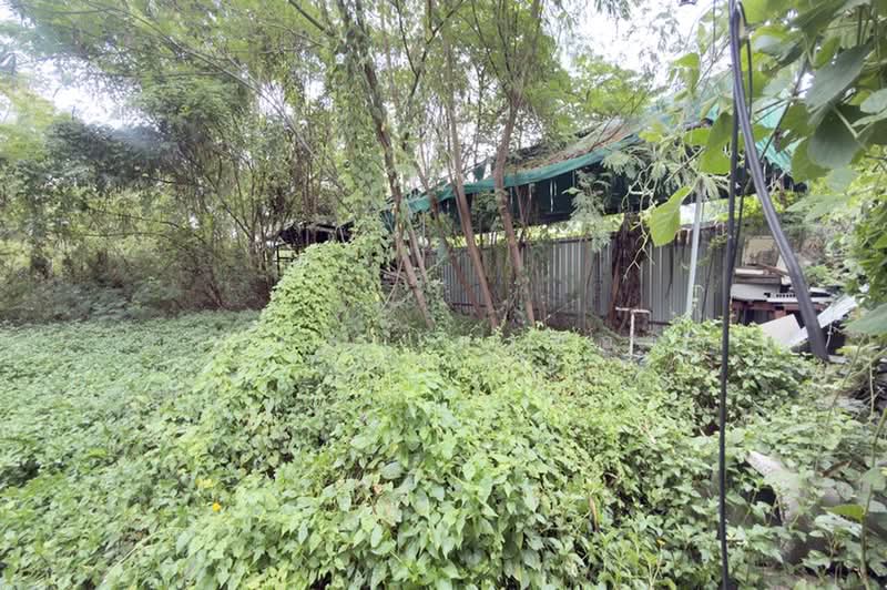 ซอยพหลโยธิน 48 แยก 26 แขวงอนุสาวรีย์ เขตบางเขน กรุงเทพมหานคร 10220, Bangkok, Anusaowari, Bang Khen, Bangkok, , 808 sqm, Land For Sale, by สง่าชัย ไทรทองคำ, 500434609 - DDproperty.com