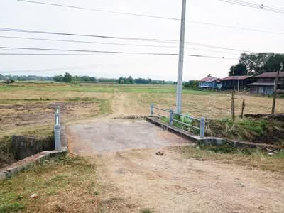 ขาย - ท่าพล, เพชรบูรณ์