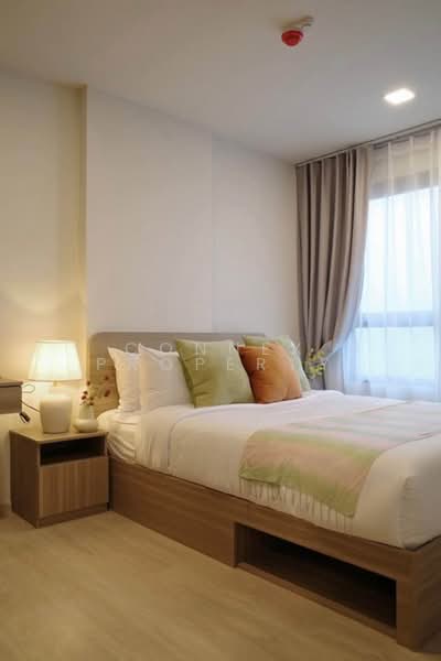 THE Base Cherngtalay, Phuket, Choeng Thale, Thalang, Phuket, 1 Bedroom, 30 sqm, Condo For Rent, by Connex Property, 500434713 - DDproperty.com