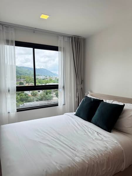 The Base Bukit Phuket : เดอะ เบส บูกิต, ภูเก็ต, 12 ถ.วิชิตสงคราม, วิชิต, เมืองภูเก็ต, ภูเก็ต, 31 ตร.ม., คอนโด ให้เช่า, โดย Connex Property, 500434735 - DDproperty.com