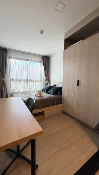 The Base Bukit Phuket, Phuket, 12 Vichitsongkram Rd, Wichit, Muang Phuket, Phuket, 1 Bedroom, 30 sqm, Condo For Rent, by Connex Property, 500434743 - DDproperty.com