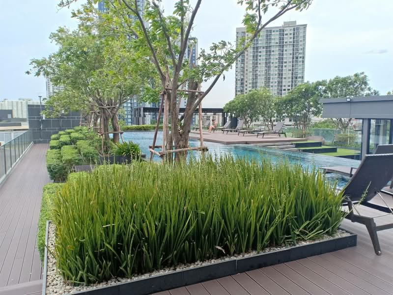 The Base Sukhumvit 77, Bangkok, 289 Sukhumvit 77 Road, Phra Kanong Nua, Watthana, Bangkok, 1 Bedroom, 30 sqm, Condo For Rent, by Caveman Property, 500434779 - DDproperty.com