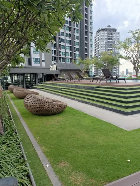 The Base Sukhumvit 77, Bangkok, 289 Sukhumvit 77 Road, Phra Kanong Nua, Watthana, Bangkok, 1 Bedroom, 30 sqm, Condo For Rent, by Caveman Property, 500434779 - DDproperty.com