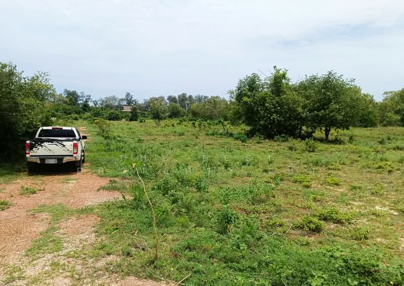 ที่ดินเพ ระยอง, Rayong, Phe, Muang Rayong, Rayong, , 236 sqm, Land For Sale, by The Best Property เบิ้ม, 500435029 - DDproperty.com