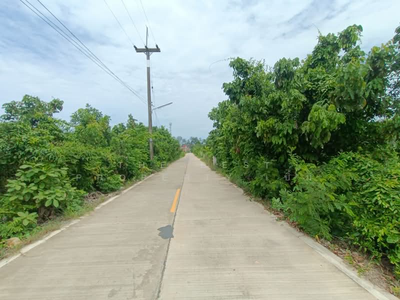 ที่ดินเพ ระยอง, Rayong, Phe, Muang Rayong, Rayong, , 236 sqm, Land For Sale, by The Best Property เบิ้ม, 500435029 - DDproperty.com