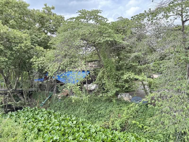 ที่ดิน 505 ตารางวา ใกล้โรงพยาบาลนครชัยศรี, Nakhon Pathom, Nakhon Chai Sri, Nakhon Pathom, , 2,020 sqm, Land For Sale, by Meechai Kunsan, 500435068 - DDproperty.com