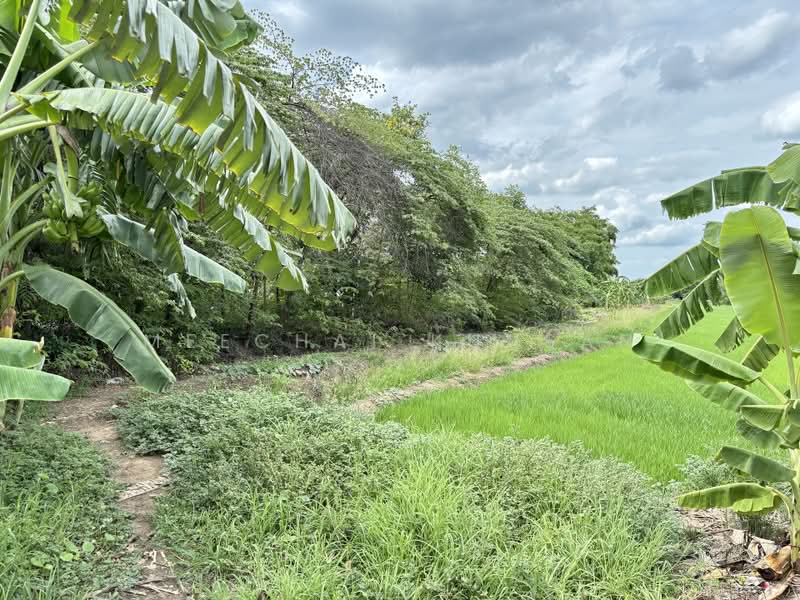 ที่ดิน 505 ตารางวา ใกล้โรงพยาบาลนครชัยศรี, Nakhon Pathom, Nakhon Chai Sri, Nakhon Pathom, , 2,020 sqm, Land For Sale, by Meechai Kunsan, 500435068 - DDproperty.com