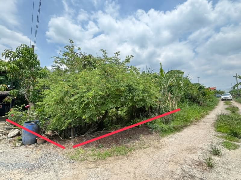 ที่ดินลาดกระบัง กรุงเทพมหานคร, กรุงเทพ, คลองสามประเวศ, ลาดกระบัง, กรุงเทพ, 396 ตร.ม., ที่ดิน ขาย, โดย The Best Property ตอง, 500435089 - DDproperty.com