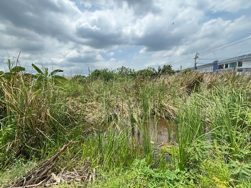ที่ดินลาดกระบัง กรุงเทพมหานคร, Bangkok, Khlong Sam Prawet, Lat Krabang, Bangkok, , 396 sqm, Land For Sale, by The Best Property ตอง, 500435089 - DDproperty.com