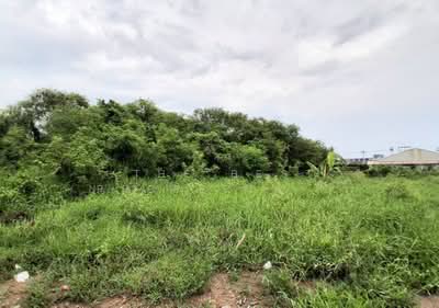 ขาย - ที่ดินโสธร ฉะเชิงเทรา, ฉะเชิงเทรา