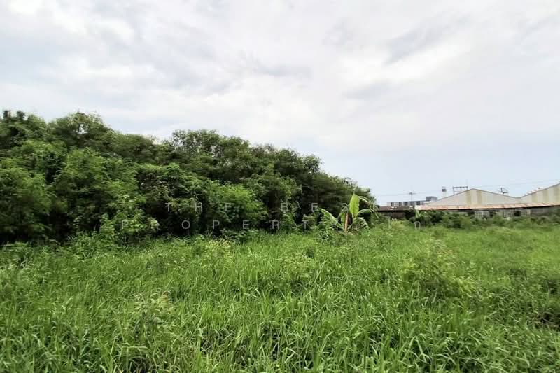 ที่ดินโสธร ฉะเชิงเทรา, Chachoengsao, Sothon, Muang Chachoengsao, Chachoengsao, , 412 sqm, Land For Sale, by The Best Property ไก่, 500435122 - DDproperty.com