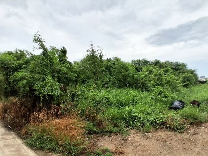 ที่ดินโสธร ฉะเชิงเทรา, Chachoengsao, Sothon, Muang Chachoengsao, Chachoengsao, , 412 sqm, Land For Sale, by The Best Property ไก่, 500435122 - DDproperty.com