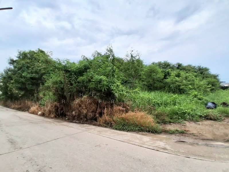 ที่ดินโสธร ฉะเชิงเทรา, Chachoengsao, Sothon, Muang Chachoengsao, Chachoengsao, , 412 sqm, Land For Sale, by The Best Property ไก่, 500435122 - DDproperty.com