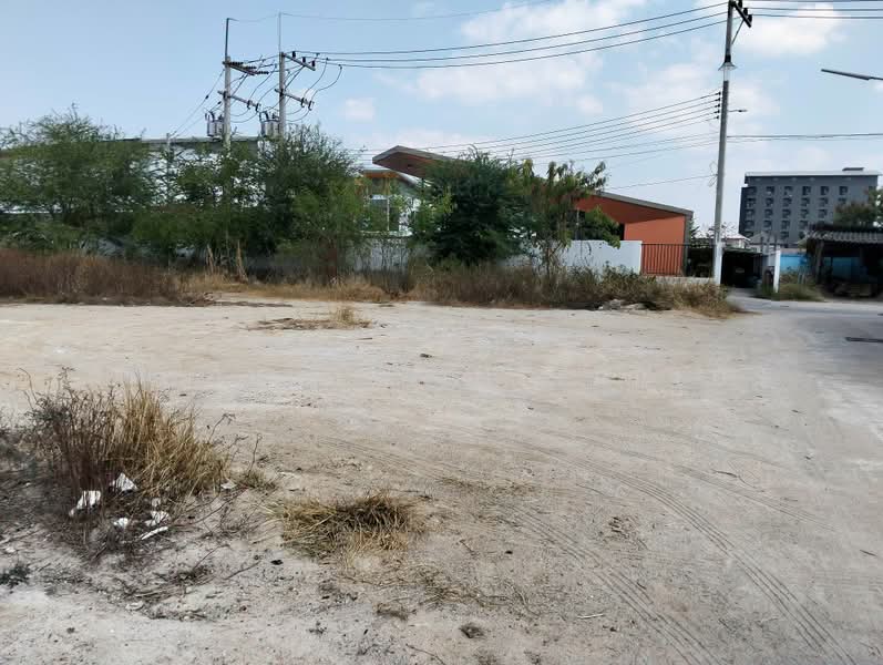 ขายที่ดินหนองกะขะ 2 ไร่ ติดถนนคอนกรีตโซนนิคมอมตะใกล้ตลาดดีมาร์เก็ต-1.5กม. อ.พานทอง, ชลบุรี, หนองกะขะ, พานทอง, ชลบุรี, 3,612 ตร.ม., ที่ดิน ขาย, โดย RICHWELL INTERPLUS, 500435129 - DDproperty.com