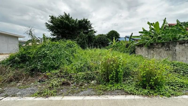 เศรษฐกิจ 1, Samut Sakhon, เศรษฐกิจ1, Tha Mai, Krathum Baen, Samut Sakhon, , 200 sqm, Land For Sale, by คุณ ภรณ์ทิพย์ (ปุ๋ย), 500435419 - DDproperty.com