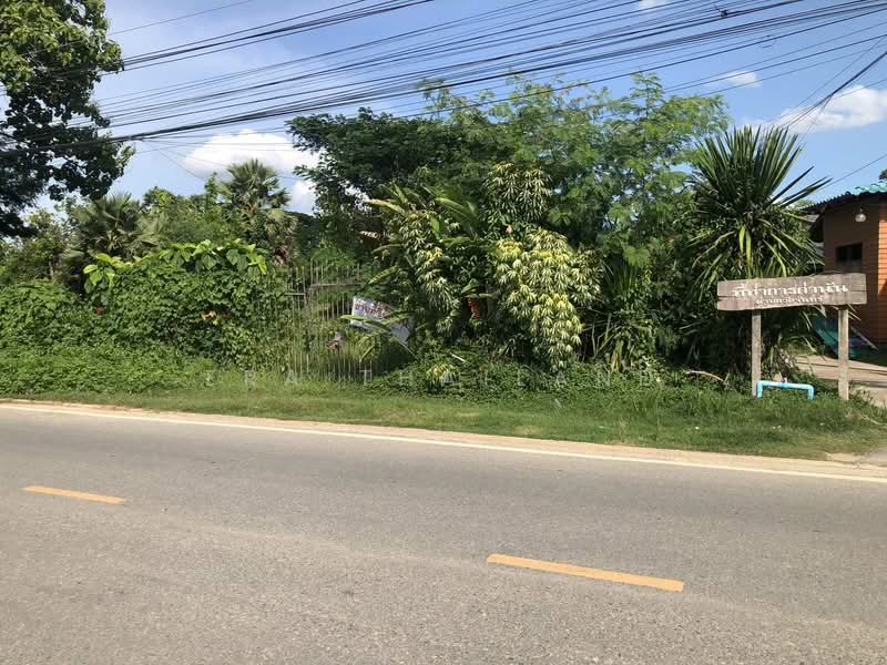 ขายที่ดินติดแม่น้ำน่านแปลงใหญ่ 13 ไร่ ใกล้วัดจันทร์ตะวันจก, Phitsanulok, Nai Muang, Muang Phitsanulok, Phitsanulok, , 20,828 sqm, Land For Sale, by ERA Thailand, 500435443 - DDproperty.com