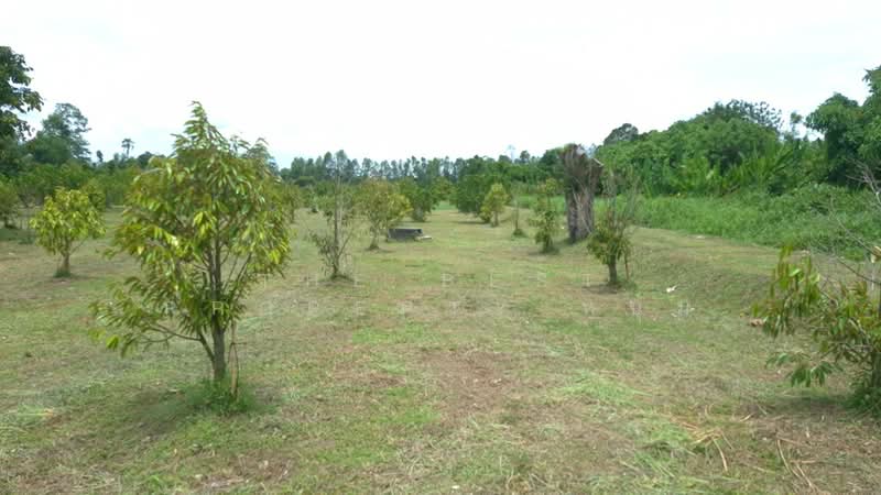 ที่ดินบ้านนา นครนายก, Nakhon Nayok, Pa Kha, Ban Na, Nakhon Nayok, , 12,295 sqm, Land For Sale, by The Best Property หนุ่ม, 500435604 - DDproperty.com
