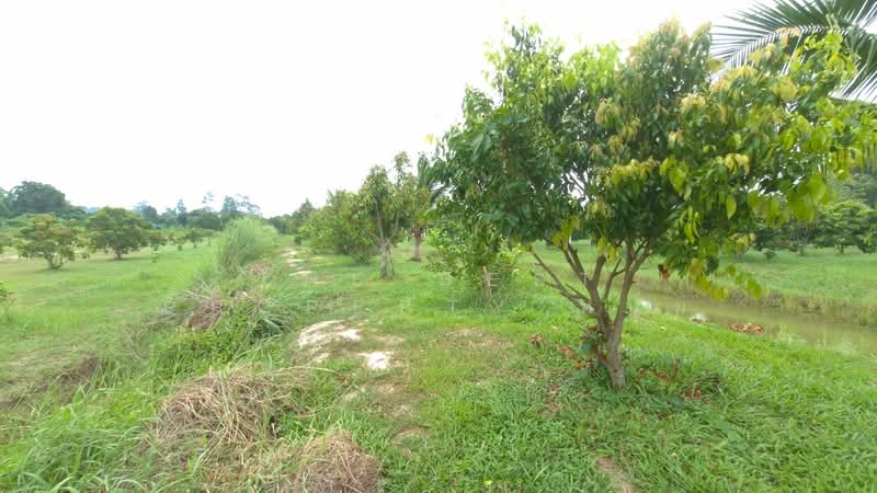 ที่ดินบ้านนา นครนายก, นครนายก, ป่าขะ, บ้านนา, นครนายก, 12,295 ตร.ม., ที่ดิน ขาย, โดย The Best Property หนุ่ม, 500435604 - DDproperty.com