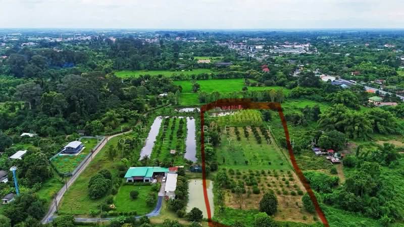 ที่ดินบ้านนา นครนายก, นครนายก, ป่าขะ, บ้านนา, นครนายก, 12,295 ตร.ม., ที่ดิน ขาย, โดย The Best Property หนุ่ม, 500435604 - DDproperty.com
