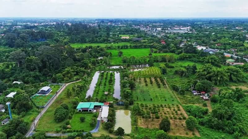 ที่ดินบ้านนา นครนายก, นครนายก, ป่าขะ, บ้านนา, นครนายก, 12,295 ตร.ม., ที่ดิน ขาย, โดย The Best Property หนุ่ม, 500435604 - DDproperty.com