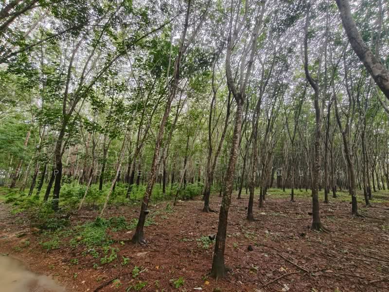 ที่ดินเขาสมิง ตราด, Trat, Saen Tung, Khao Saming, Trat, , 91,022 sqm, Land For Sale, by The Best Property เหมียว, 500435786 - DDproperty.com