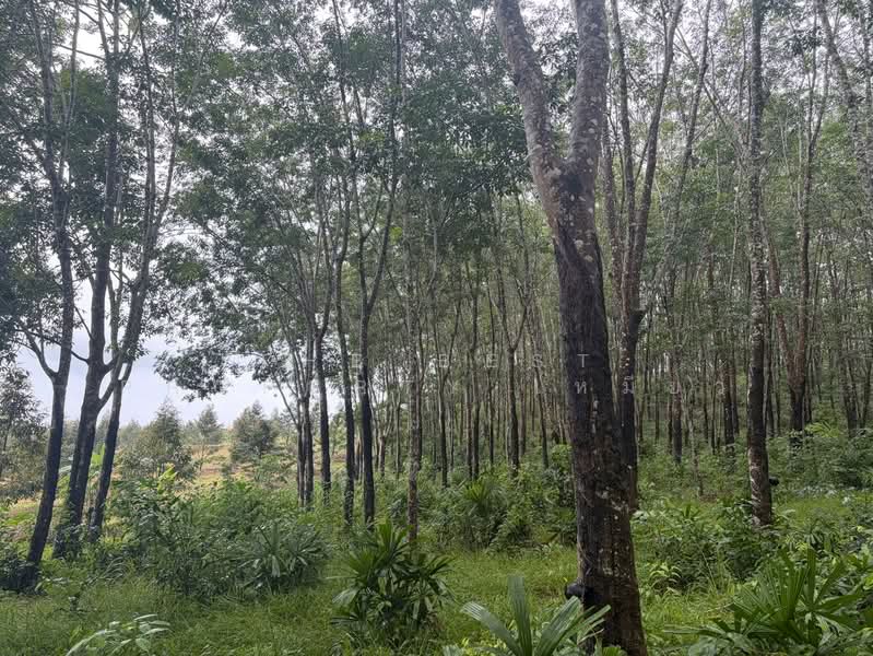 ที่ดินเขาสมิง ตราด, Trat, Saen Tung, Khao Saming, Trat, , 91,022 sqm, Land For Sale, by The Best Property เหมียว, 500435786 - DDproperty.com