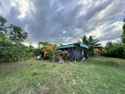ขาย - ที่ดิน + บ้านสวน 1 ชั้น 400 ตร.ว. ใกล้ปั้มปตท.หนองเพรางาย นนทบุรี, นนทบุรี