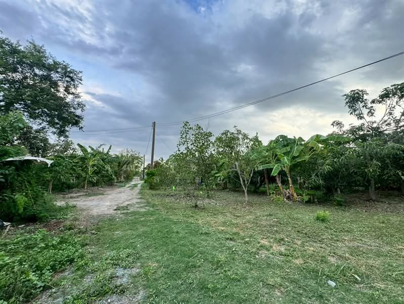 ที่ดิน + บ้านสวน 1 ชั้น 400 ตร.ว. ใกล้ปั้มปตท.หนองเพรางาย นนทบุรี, Nonthaburi, ถนนไทรน้อย-วัดต้นเชือก, Nong Prao Ngai, Sai Noi, Nonthaburi, , 1,600 sqm, Land For Sale, by คุณ ฐิชาปัณณ์ สังวาลรัมย์ (ปูน), 500435936 - DDproperty.com