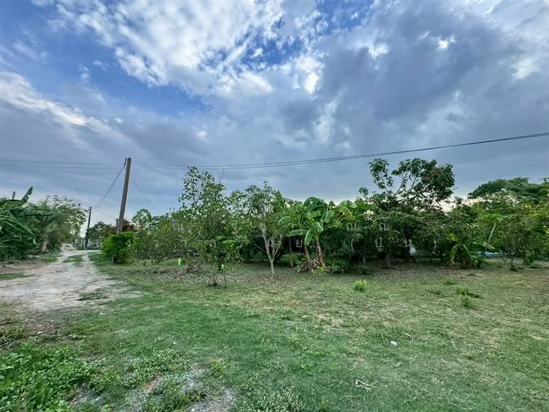 ที่ดิน + บ้านสวน 1 ชั้น 400 ตร.ว. ใกล้ปั้มปตท.หนองเพรางาย นนทบุรี, นนทบุรี, ถนนไทรน้อย-วัดต้นเชือก, หนองเพรางาย, ไทรน้อย, นนทบุรี, 1,600 ตร.ม., ที่ดิน ขาย, โดย คุณ ฐิชาปัณณ์ สังวาลรัมย์ (ปูน), 500435936 - DDproperty.com