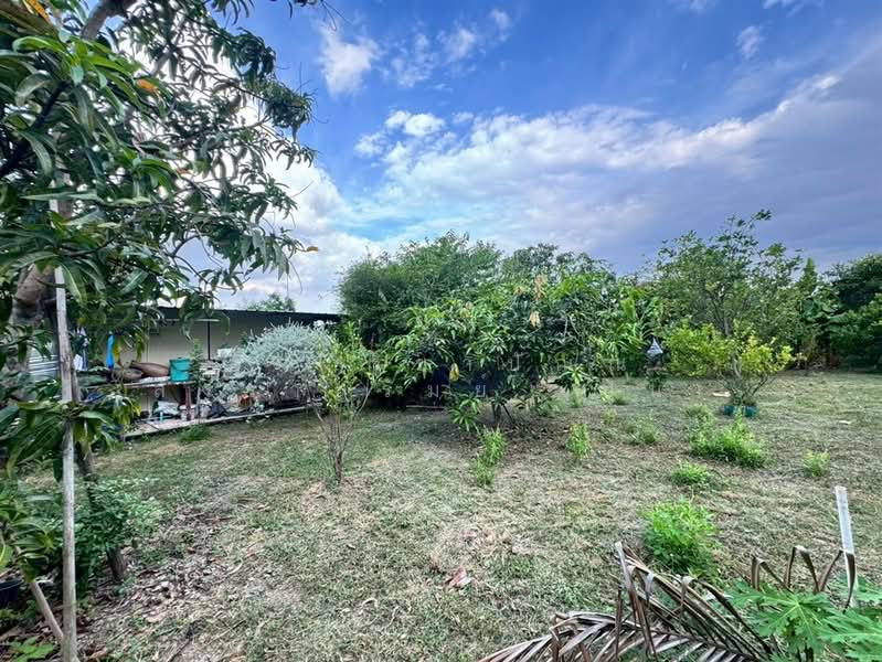 ที่ดิน + บ้านสวน 1 ชั้น 400 ตร.ว. ใกล้ปั้มปตท.หนองเพรางาย นนทบุรี, นนทบุรี, ถนนไทรน้อย-วัดต้นเชือก, หนองเพรางาย, ไทรน้อย, นนทบุรี, 1,600 ตร.ม., ที่ดิน ขาย, โดย คุณ ฐิชาปัณณ์ สังวาลรัมย์ (ปูน), 500435936 - DDproperty.com