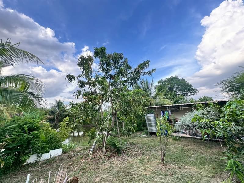 ที่ดิน + บ้านสวน 1 ชั้น 400 ตร.ว. ใกล้ปั้มปตท.หนองเพรางาย นนทบุรี, นนทบุรี, ถนนไทรน้อย-วัดต้นเชือก, หนองเพรางาย, ไทรน้อย, นนทบุรี, 1,600 ตร.ม., ที่ดิน ขาย, โดย คุณ ฐิชาปัณณ์ สังวาลรัมย์ (ปูน), 500435936 - DDproperty.com