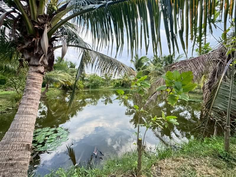 ที่ดิน + บ้านสวน 1 ชั้น 400 ตร.ว. ใกล้ปั้มปตท.หนองเพรางาย นนทบุรี, Nonthaburi, ถนนไทรน้อย-วัดต้นเชือก, Nong Prao Ngai, Sai Noi, Nonthaburi, , 1,600 sqm, Land For Sale, by คุณ ฐิชาปัณณ์ สังวาลรัมย์ (ปูน), 500435936 - DDproperty.com