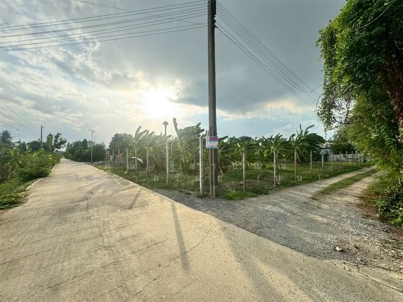 ที่ดิน + บ้านสวน 1 ชั้น 400 ตร.ว. ใกล้ปั้มปตท.หนองเพรางาย นนทบุรี, Nonthaburi, ถนนไทรน้อย-วัดต้นเชือก, Nong Prao Ngai, Sai Noi, Nonthaburi, , 1,600 sqm, Land For Sale, by คุณ ฐิชาปัณณ์ สังวาลรัมย์ (ปูน), 500435936 - DDproperty.com