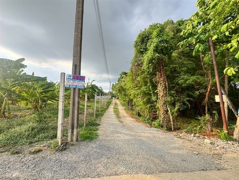 ที่ดิน + บ้านสวน 1 ชั้น 400 ตร.ว. ใกล้ปั้มปตท.หนองเพรางาย นนทบุรี, Nonthaburi, ถนนไทรน้อย-วัดต้นเชือก, Nong Prao Ngai, Sai Noi, Nonthaburi, , 1,600 sqm, Land For Sale, by คุณ ฐิชาปัณณ์ สังวาลรัมย์ (ปูน), 500435936 - DDproperty.com