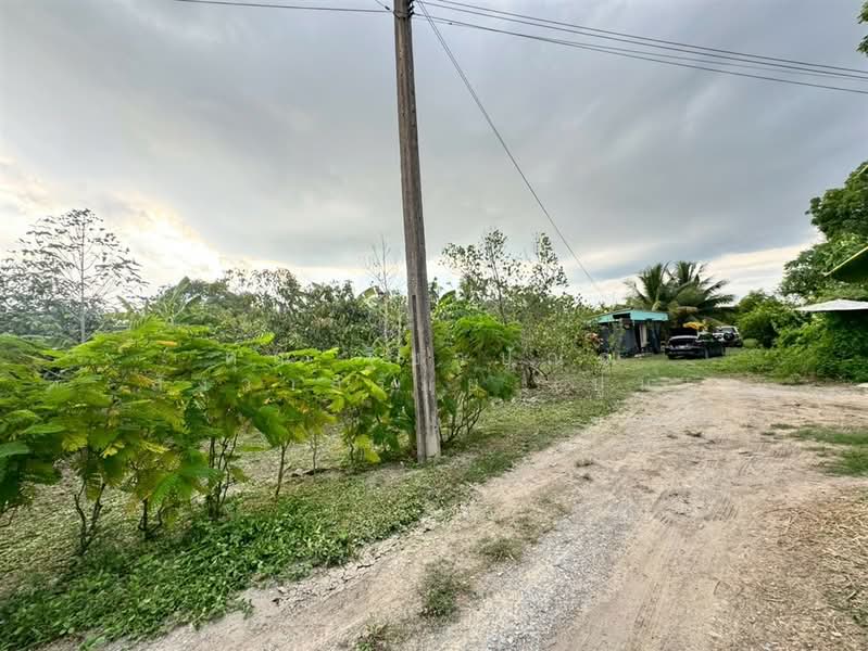 ที่ดิน + บ้านสวน 1 ชั้น 400 ตร.ว. ใกล้ปั้มปตท.หนองเพรางาย นนทบุรี, Nonthaburi, ถนนไทรน้อย-วัดต้นเชือก, Nong Prao Ngai, Sai Noi, Nonthaburi, , 1,600 sqm, Land For Sale, by คุณ ฐิชาปัณณ์ สังวาลรัมย์ (ปูน), 500435936 - DDproperty.com