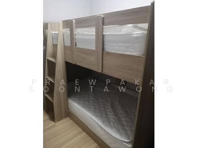 For Rent - Plum Condo Chaengwattana Station, Bangkok
