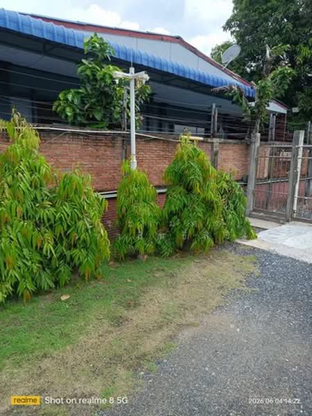 บางพลีใหญ่, สมุทรปราการ, เทพารักษ์, บางพลีใหญ่, บางพลี, สมุทรปราการ, 250 ตร.ม., บ้านเดี่ยว ขาย, โดย จิระเมศร์ วราสิทธิ์สิริ, 500436092 - DDproperty.com