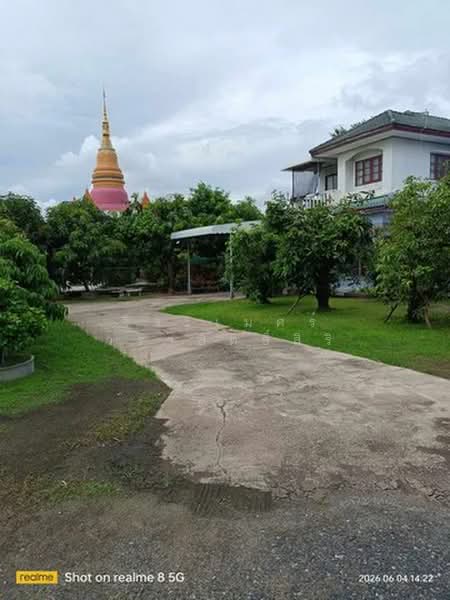 บางพลีใหญ่, Samut Prakan, เทพารักษ์, Bangphli Yai, Bang Plee, Samut Prakan, 4 Bedrooms, 250 sqm, Single Detached House For Sale, by จิระเมศร์ วราสิทธิ์สิริ, 500436092 - DDproperty.com