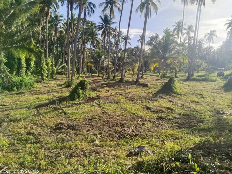 ที่ดินบางสะพาน ประจวบคีรีขันธ์, Prachuap Khiri Khan, Kamnoet Nopphakhun, Bang Saphan, Prachuap Khiri Khan, , 46,716 sqm, Land For Sale, by The Best Property ต่าย, 500436121 - DDproperty.com