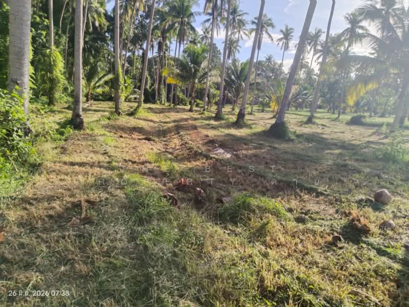 ที่ดินบางสะพาน ประจวบคีรีขันธ์, Prachuap Khiri Khan, Kamnoet Nopphakhun, Bang Saphan, Prachuap Khiri Khan, , 46,716 sqm, Land For Sale, by The Best Property ต่าย, 500436121 - DDproperty.com